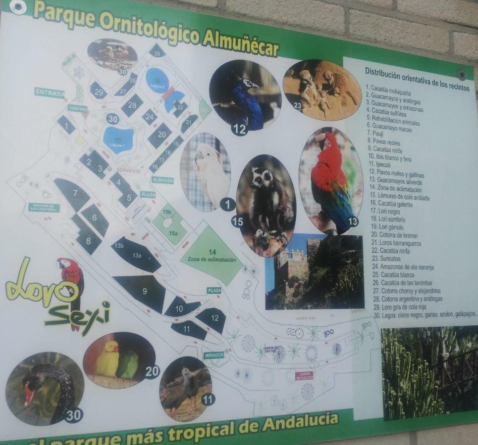 Bella Andalucia Daire Almuñécar Dış mekan fotoğraf